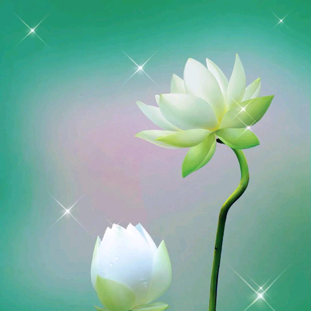 哈哈