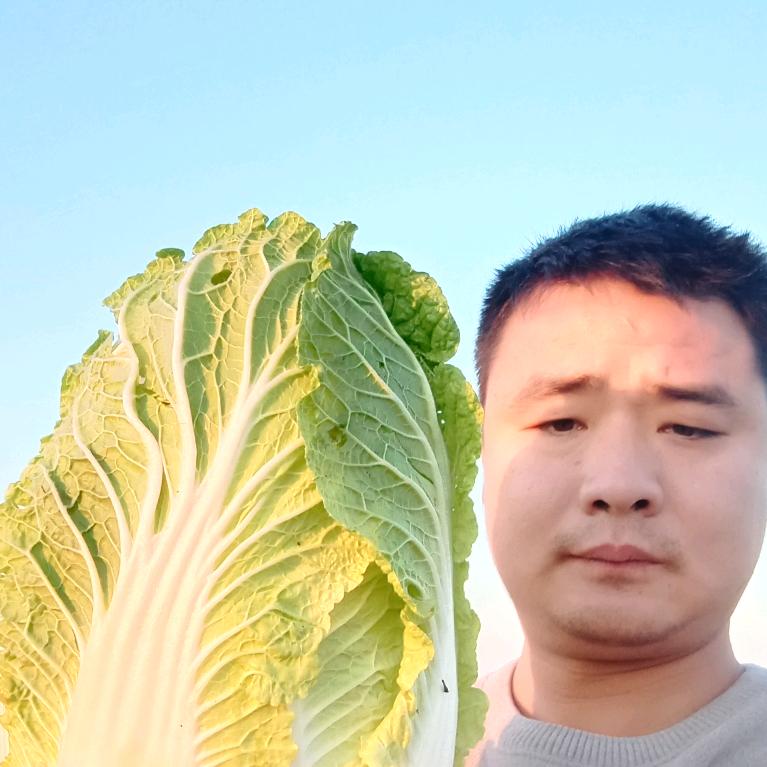 果蔬基地代办苗存波