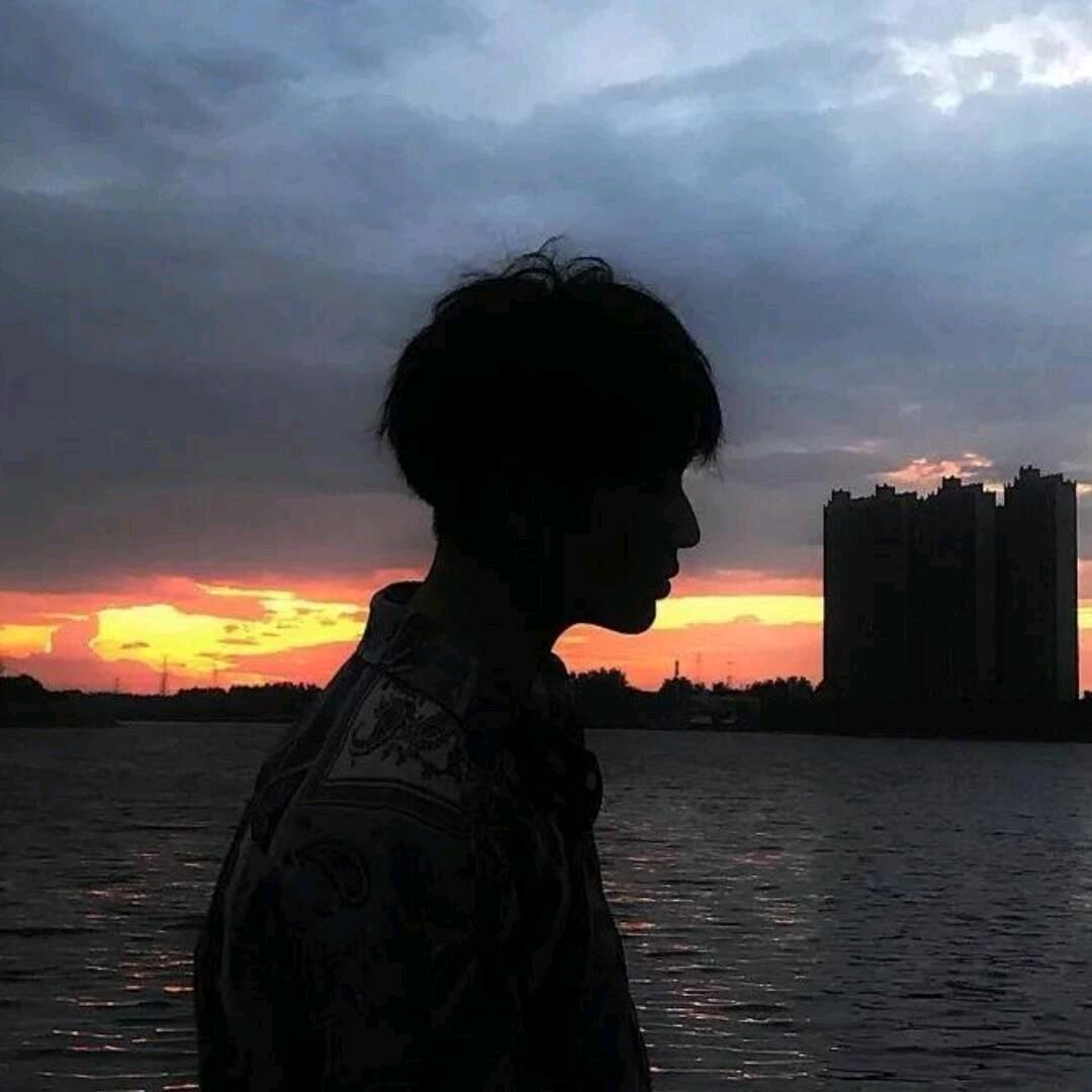 🐬    ㅤ