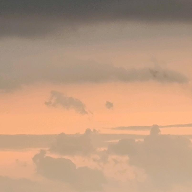行歌