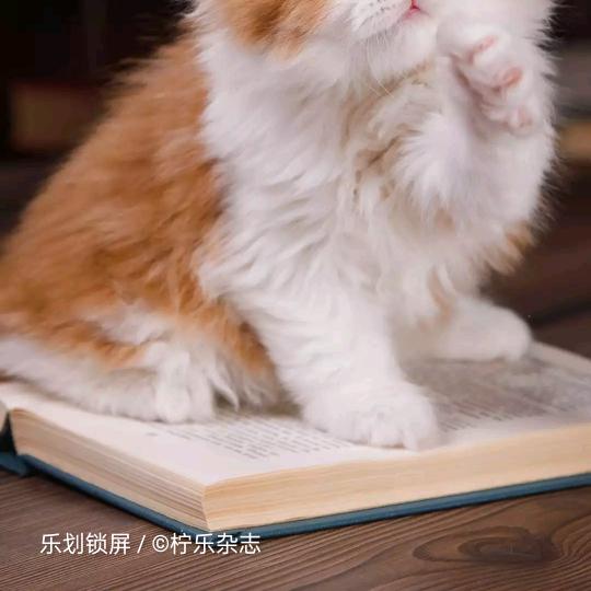 小天说房