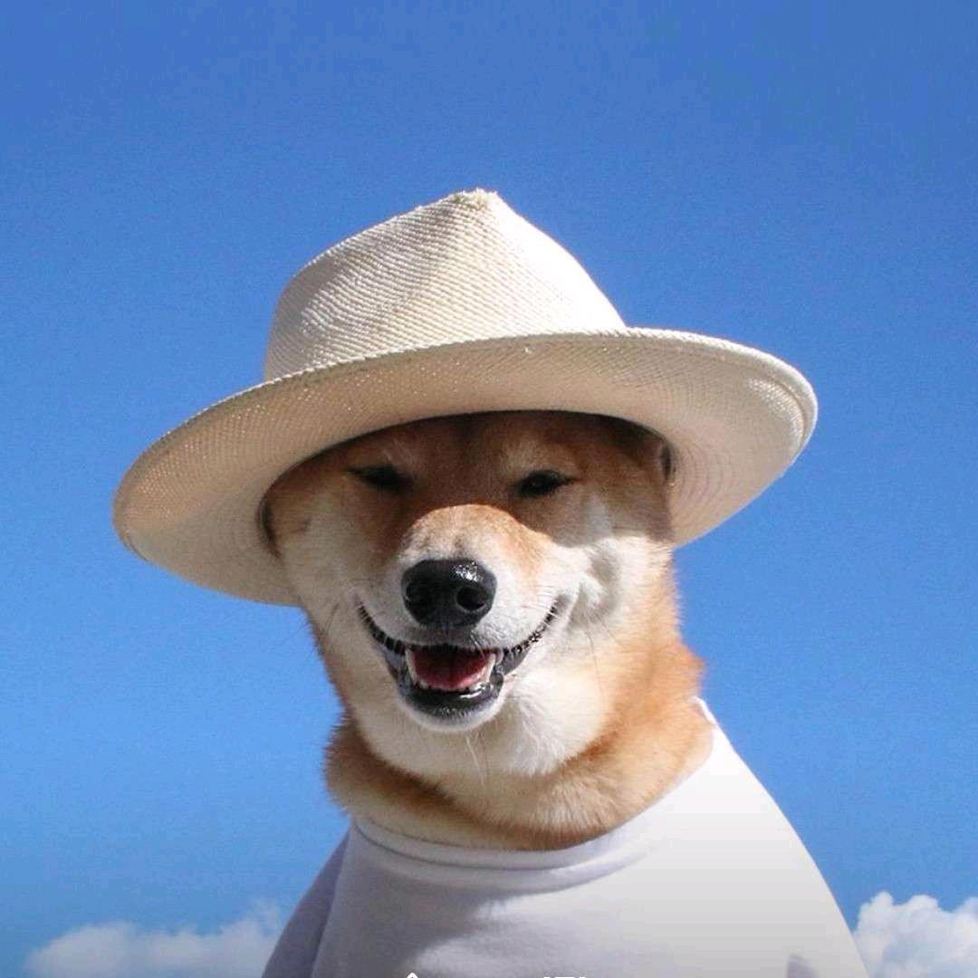 黄能干