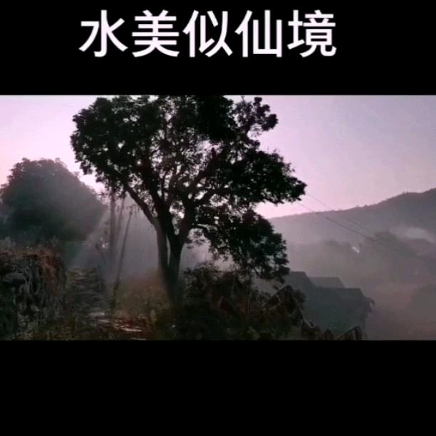 鸟语花香山清水秀美丽动人小山村
