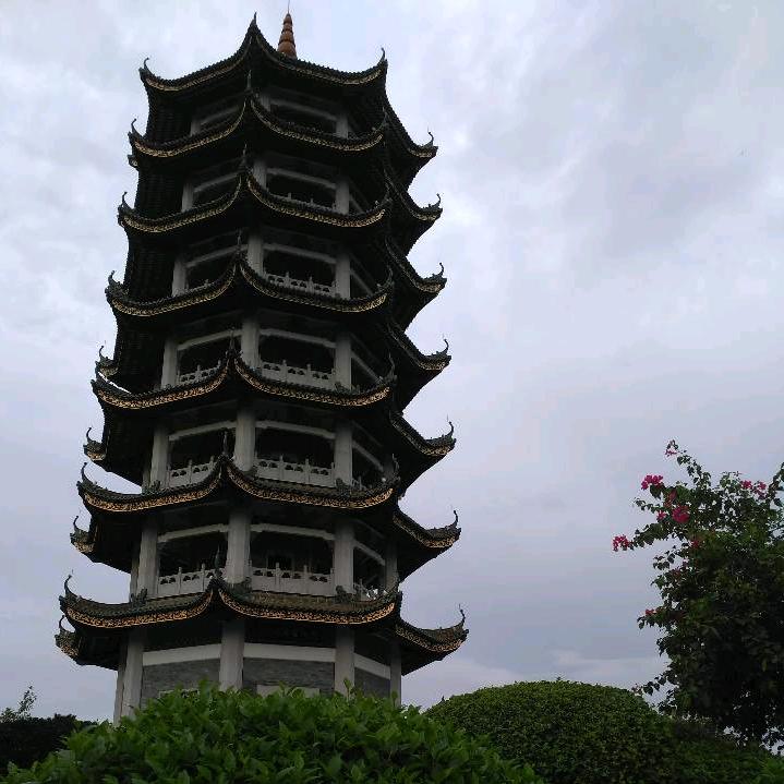 浩智博
