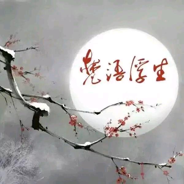 回忆似酒