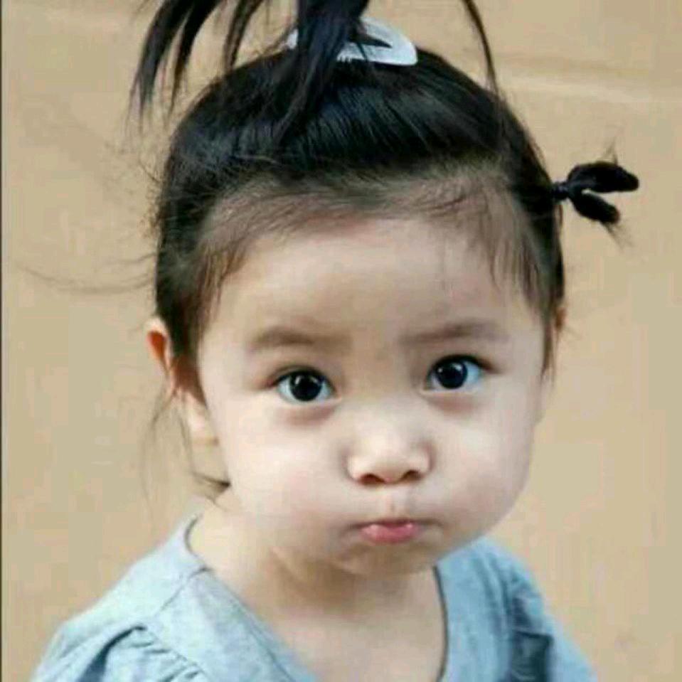 紫星雨（好物在橱窗）