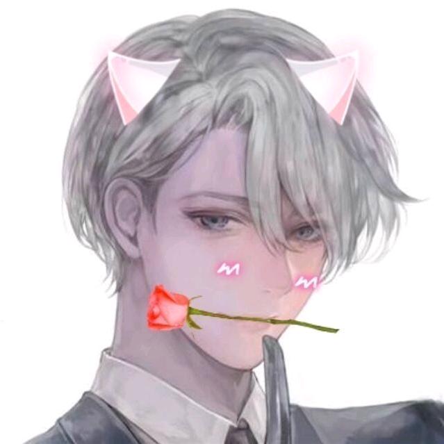 一只小清颜