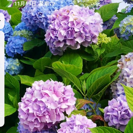 耀族生鲜（宁波仓）江北