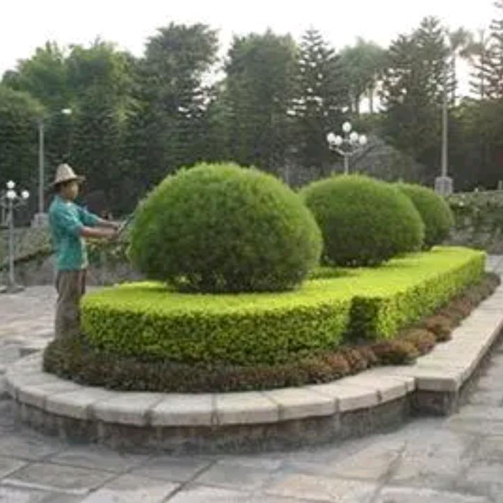 雅禾园林景观