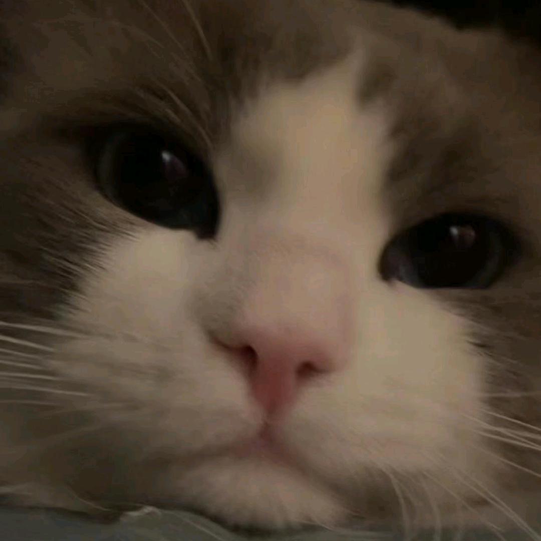 我直接开骂了🎣