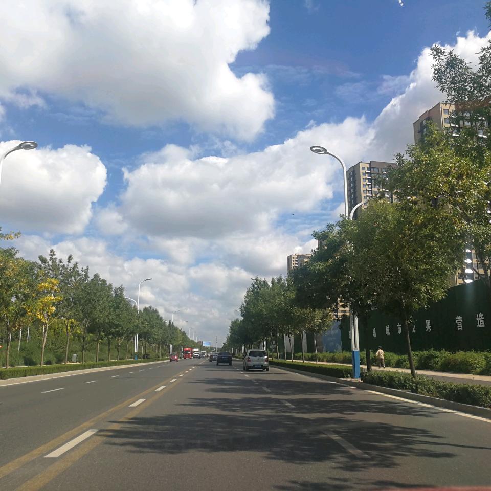 ，龙行天下，