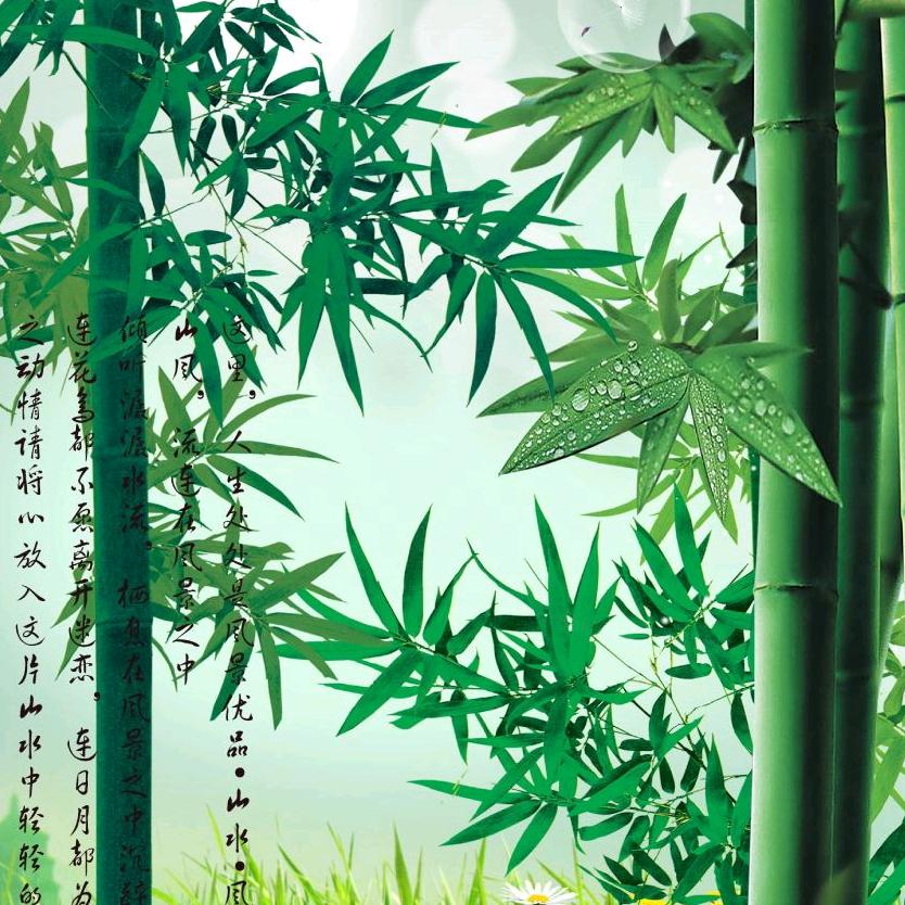 云乡悠然