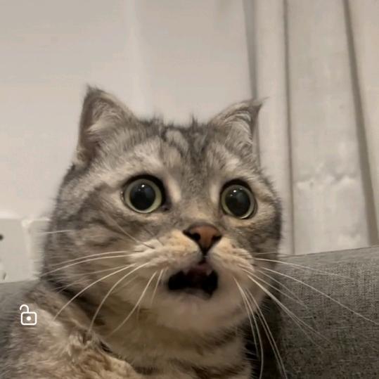 大黄爆笑