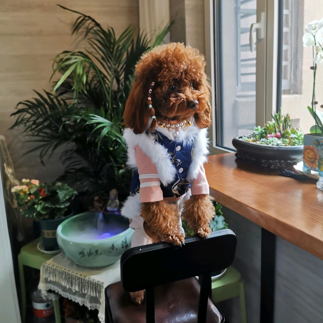 忻州市五台山风景名胜区心时光倾城民宿