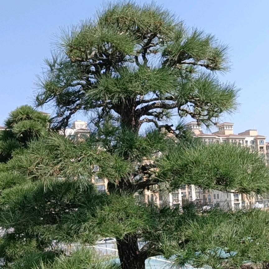 时间不等你