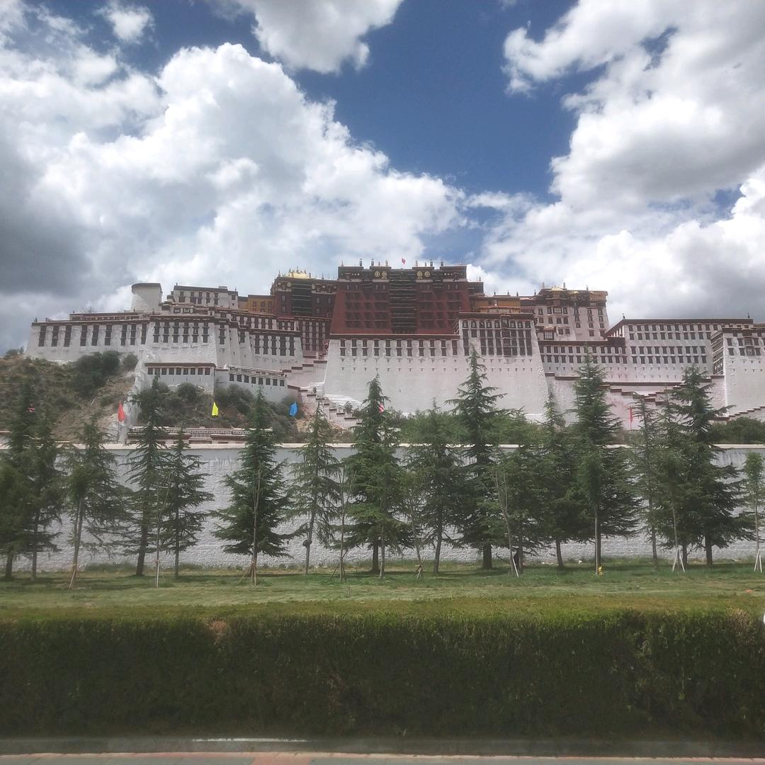放荡不羁爱自由