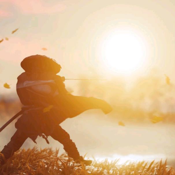 落花有意随流水