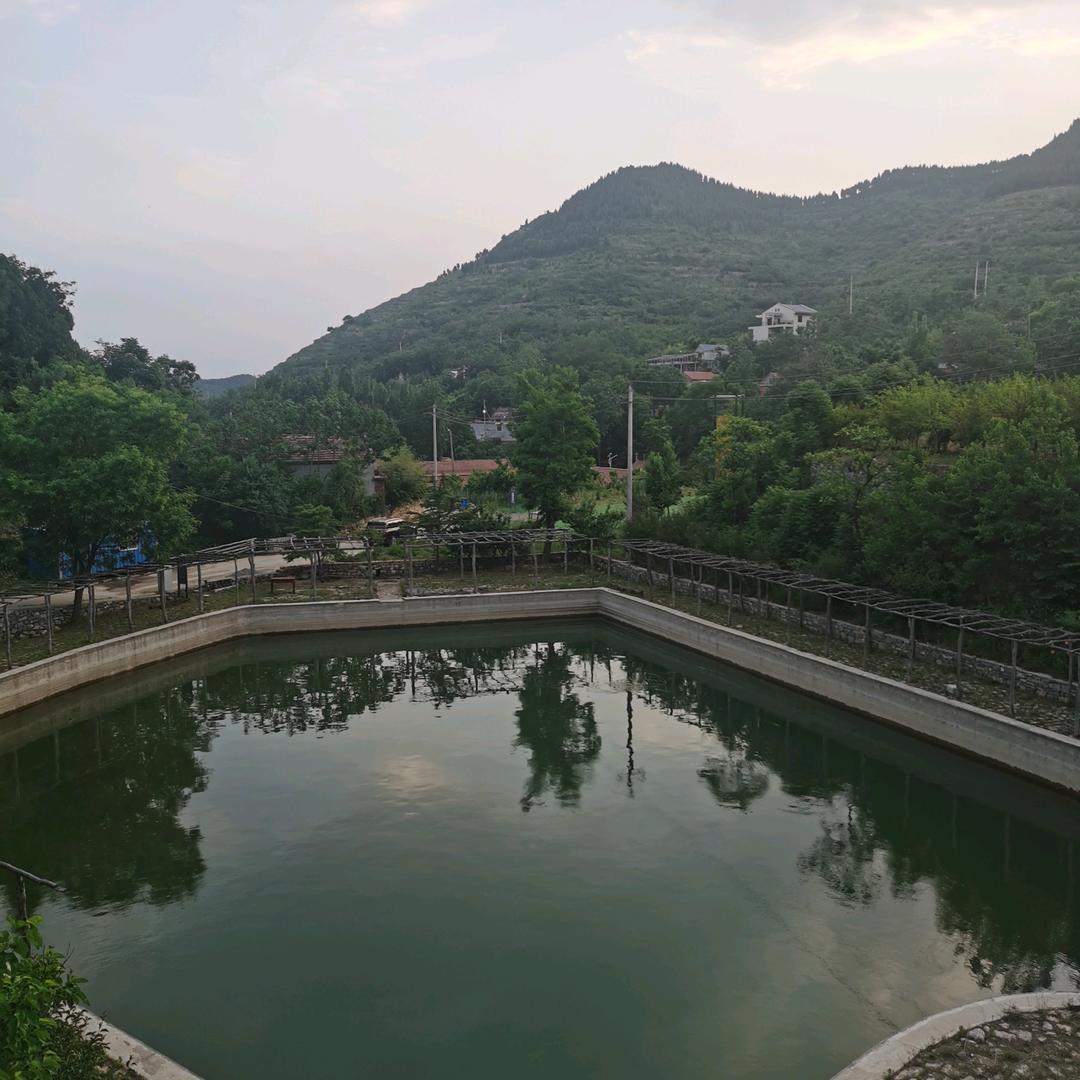 淄博 东庄民宿