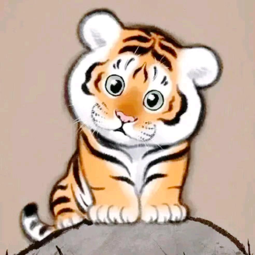 宁波到安徽往返4.2货车