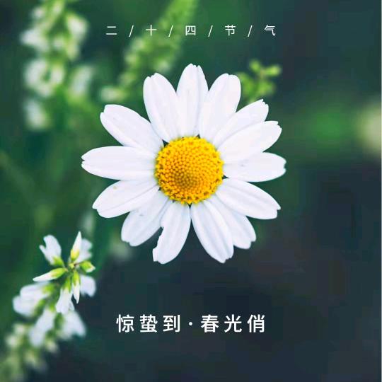 小仓云时尚精品店