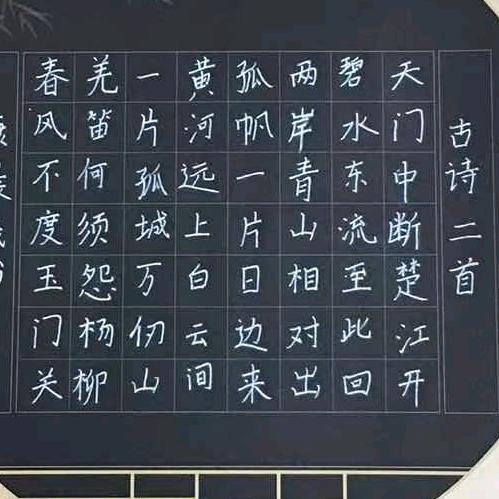豆豆20220808🌈🌈🌈🌈🌈