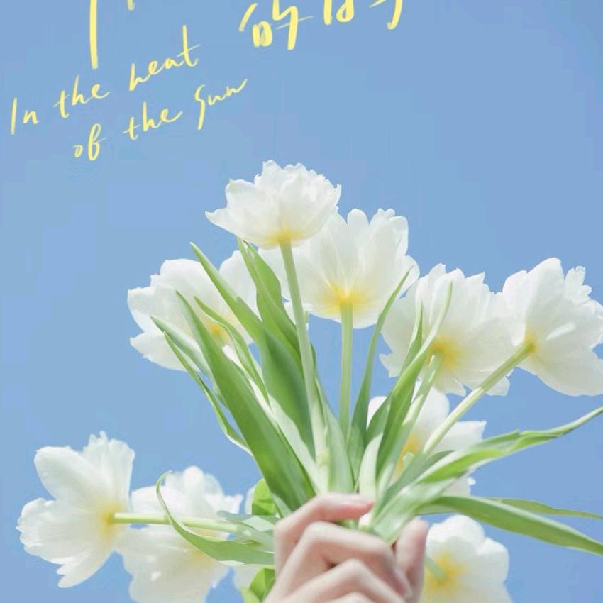 ☾⋆᭄森ˢ尼ᵒ呐ⁿ~♛⁰³²⁸