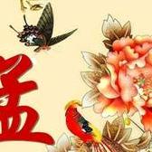 🌈如孟初见