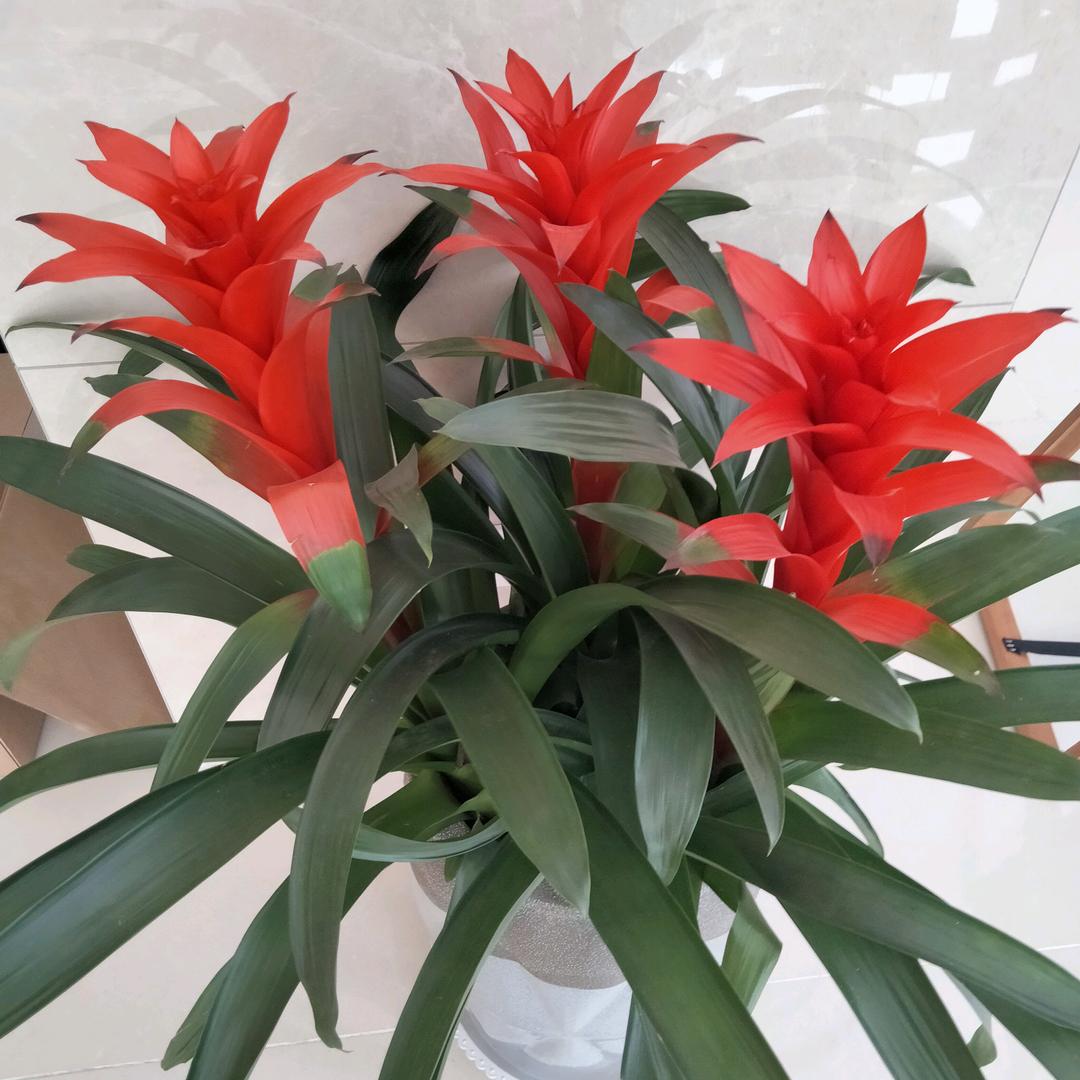 平安幸福永相伴