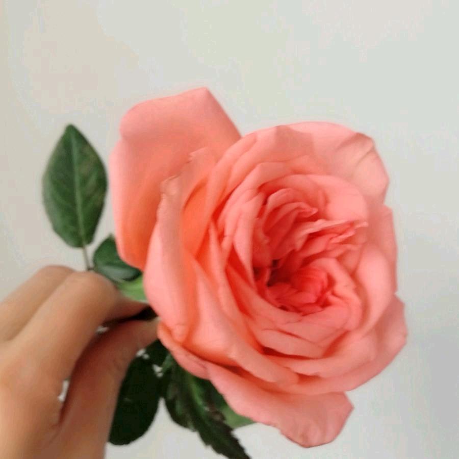 用户漫步云端