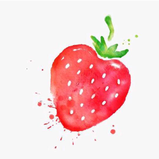 七心海棠🍓