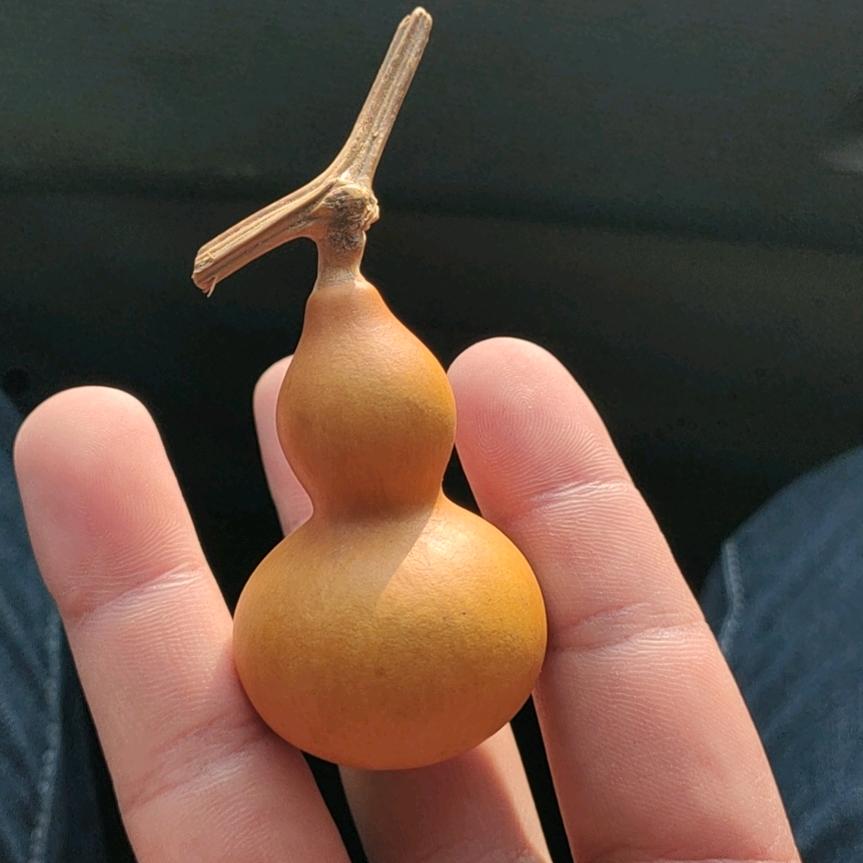 戴草帽的王子