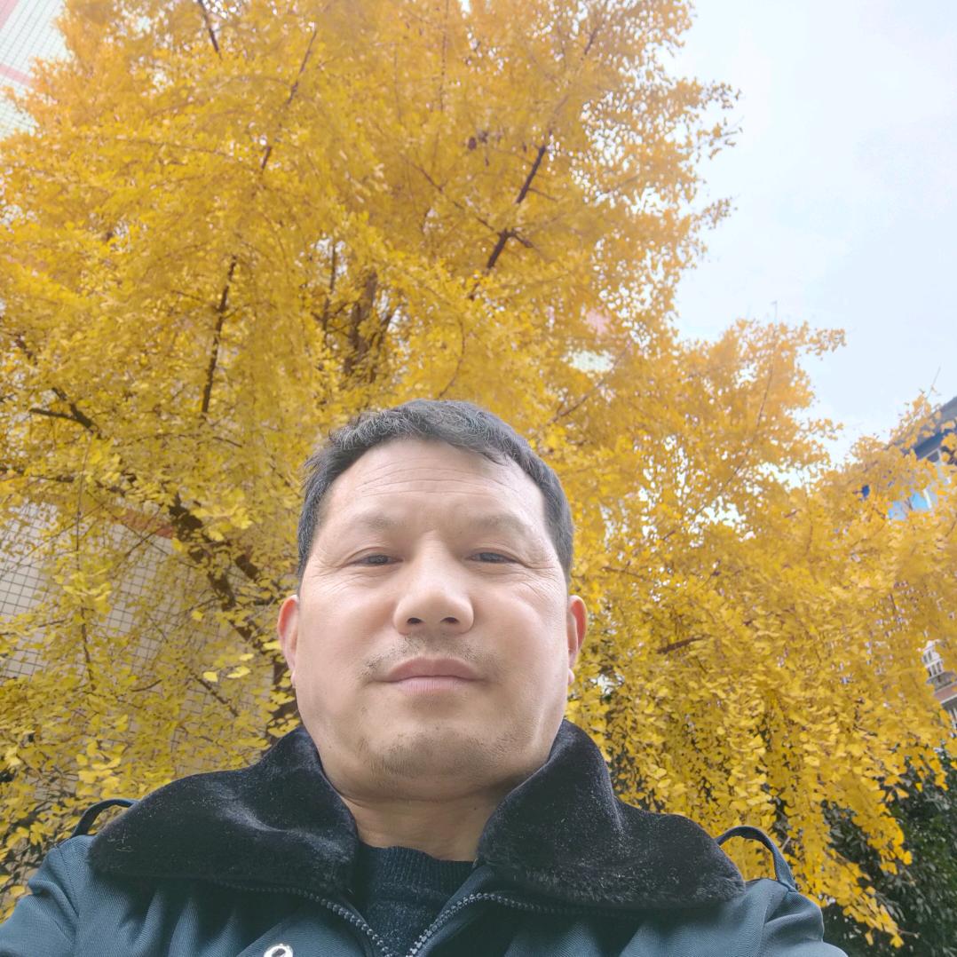 幸运松