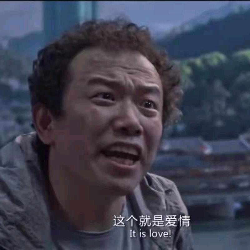 段总