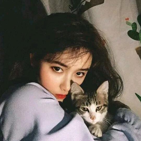 果粒陈🍊