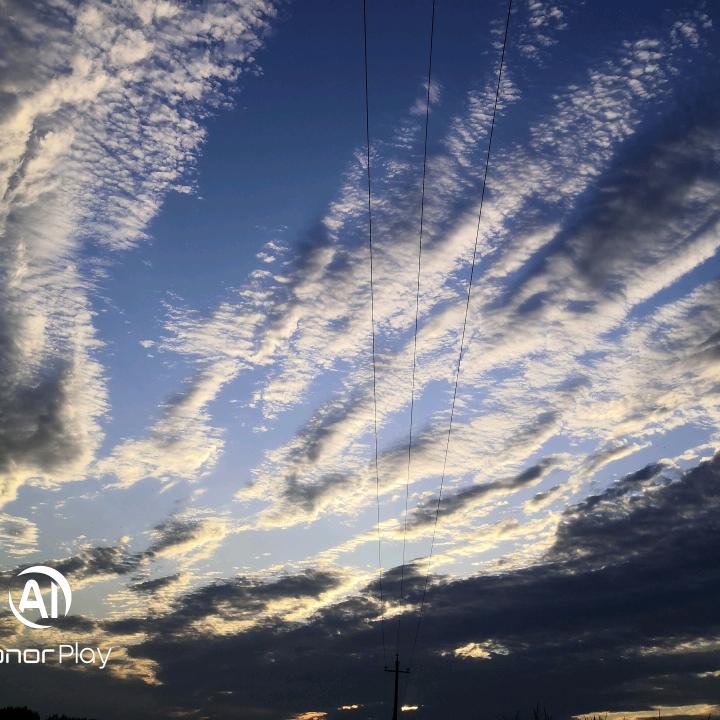 那些花开的日子