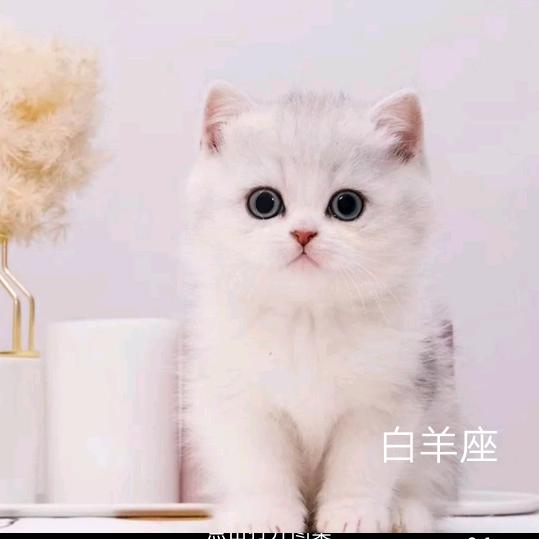 80后的我