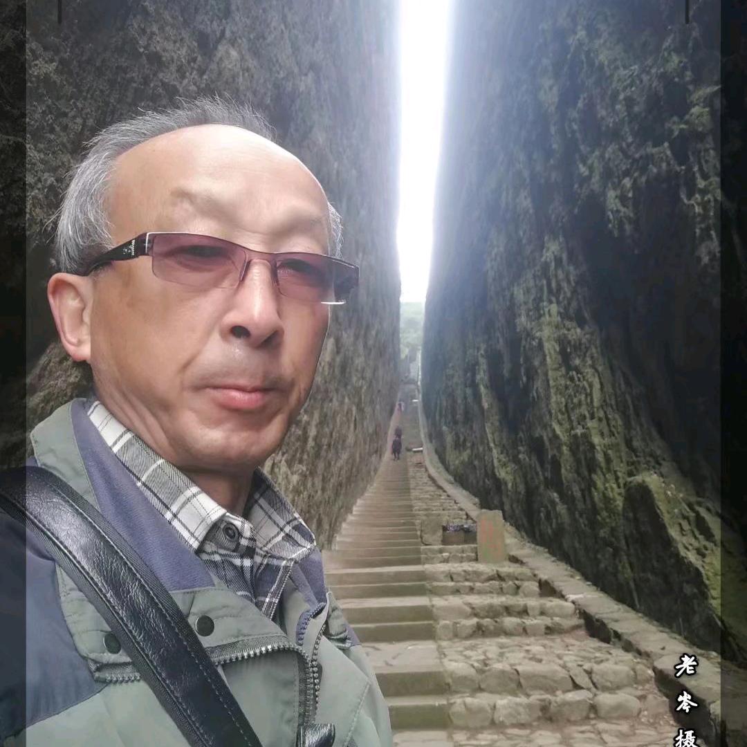 我是老岑头像