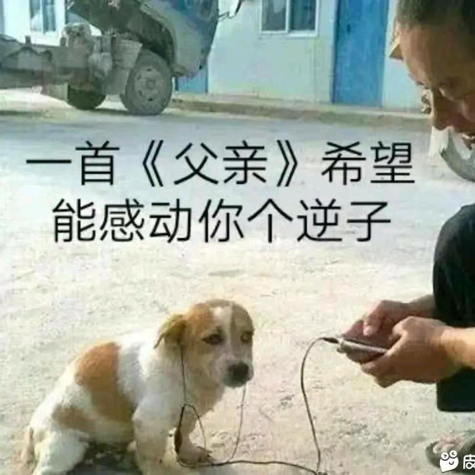 @番茄炒蛋