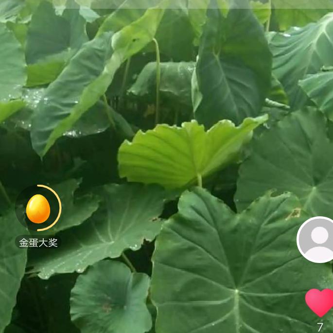 看破红尘