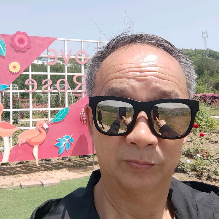 树林