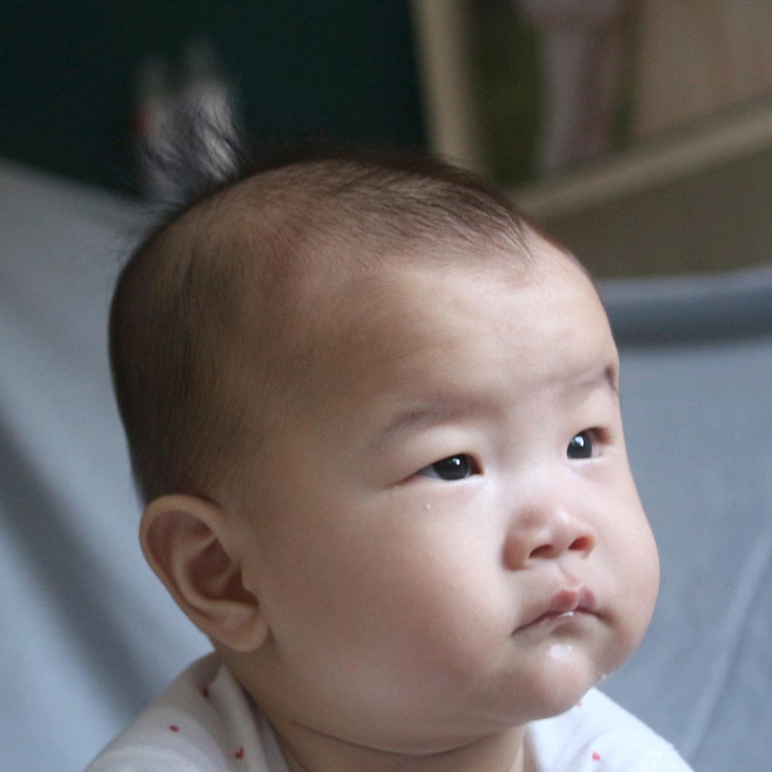 葡萄籽儿头像