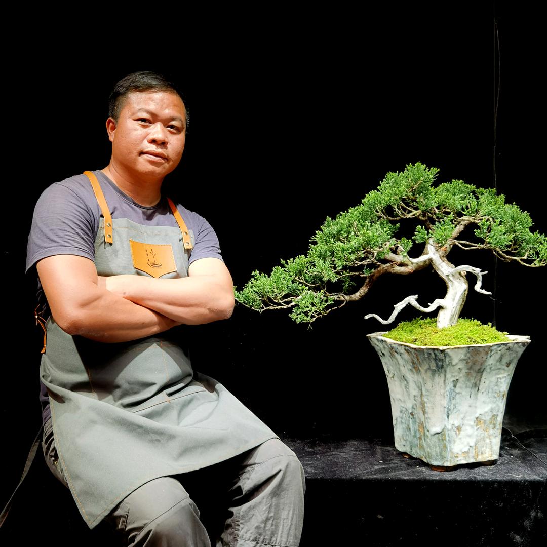 溪边树创意盆景