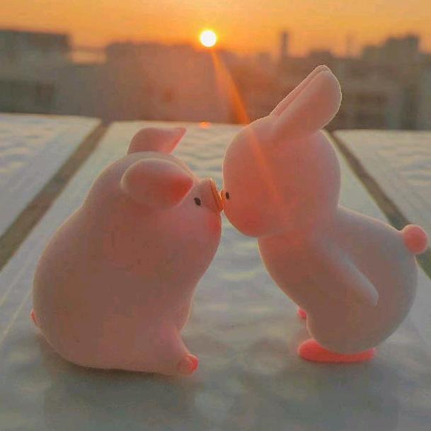 💐三碗一口饭🎀