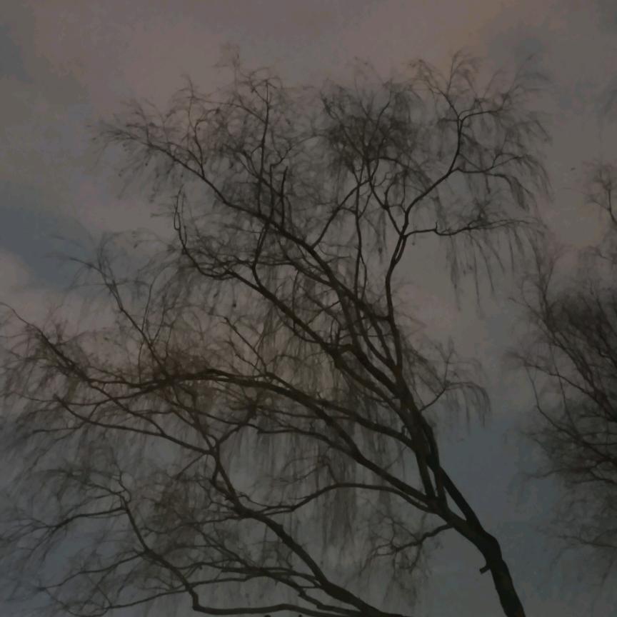 旧事难寸旧梦难忘