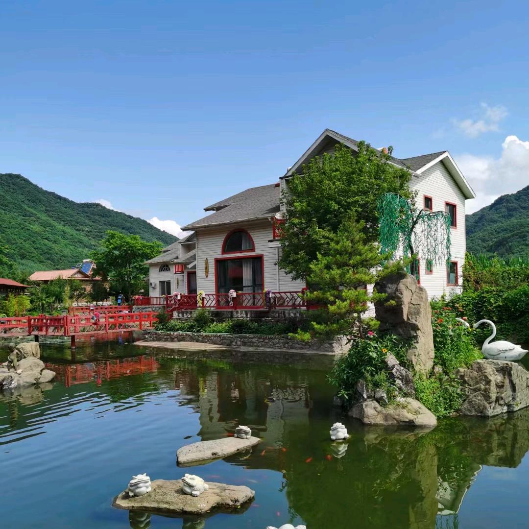 飘（手机摄影）互