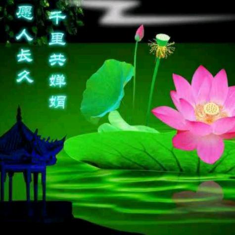 蓝颜首播