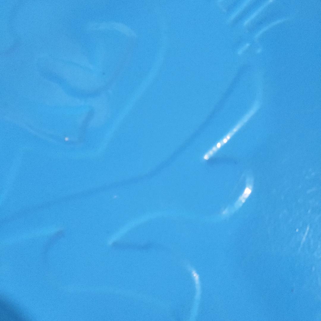 兰草