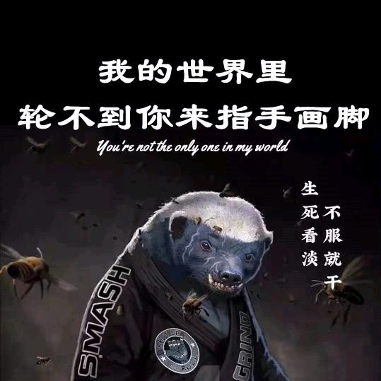 白老shei