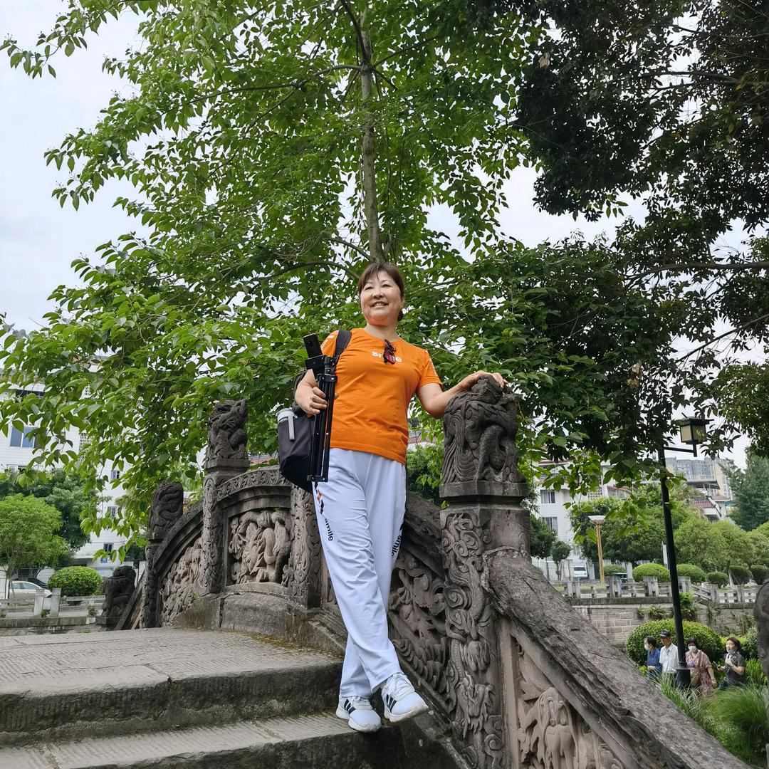 老向