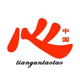 天韵滔滔 ∝ 中国心